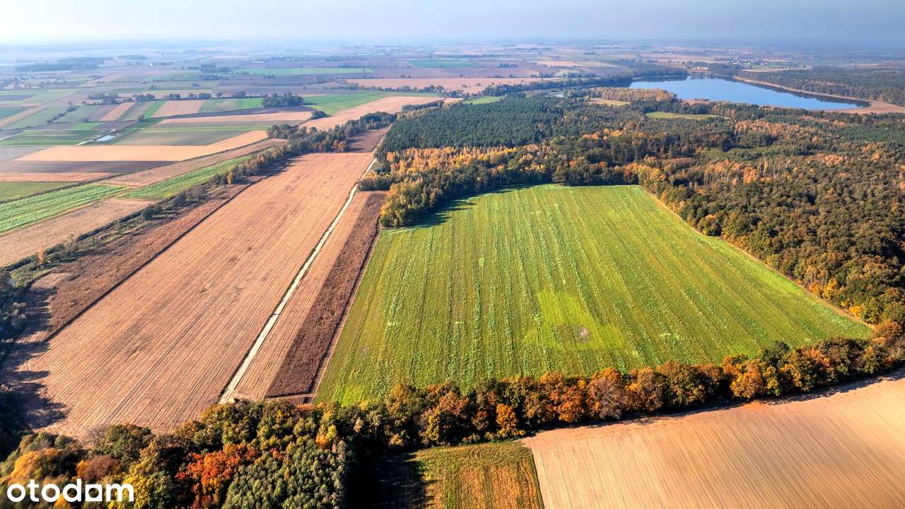 Działka inwestycyjna - hotel, dom opieki, centrum rehabilitacji, sport-5