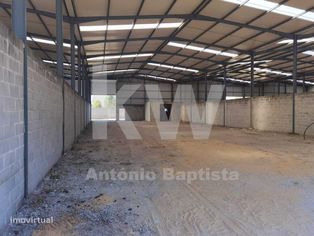 Armazém - Pavilhão, Zona Industrial da Palhaça - Grande imagem: 4/20