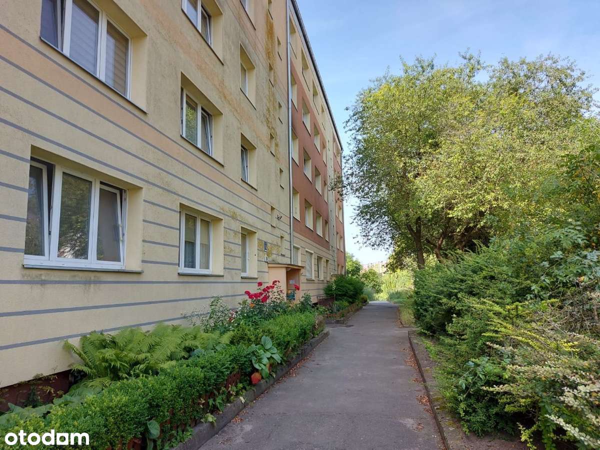 Mieszkanie w cichej zielonej okolicy przy komunikacji miejskiej ;) - Pełny obrazek: 5/19