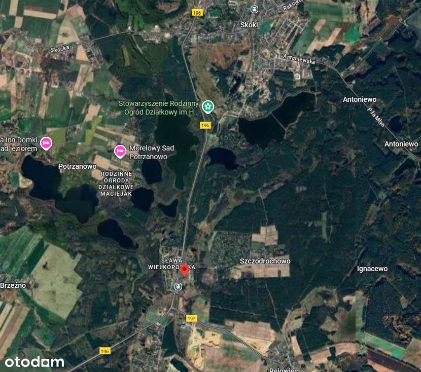 Działka budowlana / 1459 m² / Szczodrochowo ul. Włókiennicza, gm Skoki-17