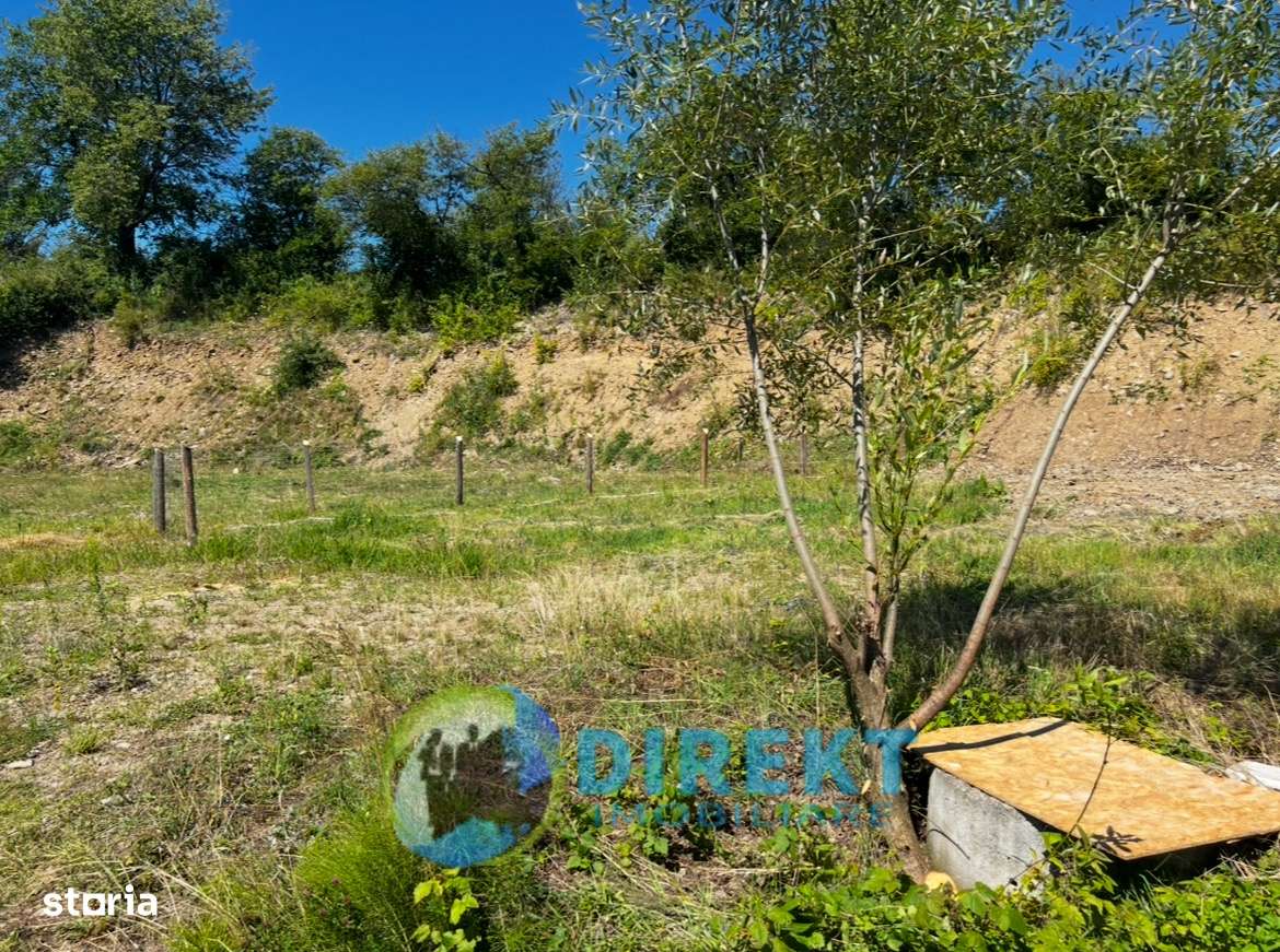 Teren intravilan, pentru casa, 500 m2, 10.500 euro - Imagine principală: 5/7