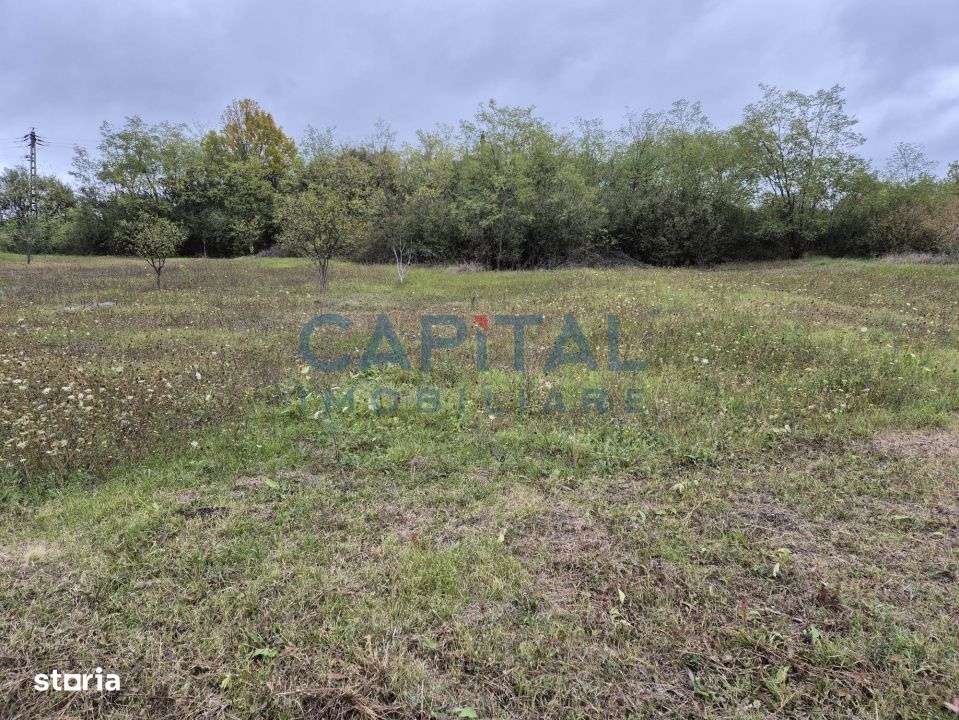 Oportunitate de investitie! Teren extravilan 11 400 mp, Apahida - Imagine principală: 3/6