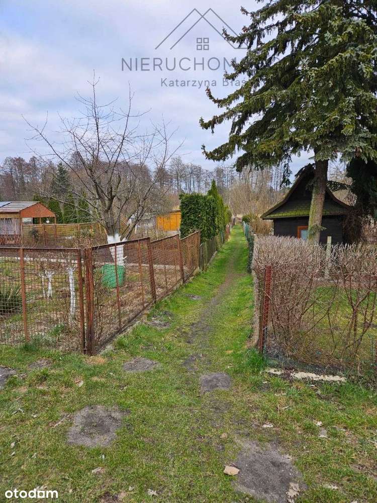 Przestronne mieszkanie z  ogrodem-10