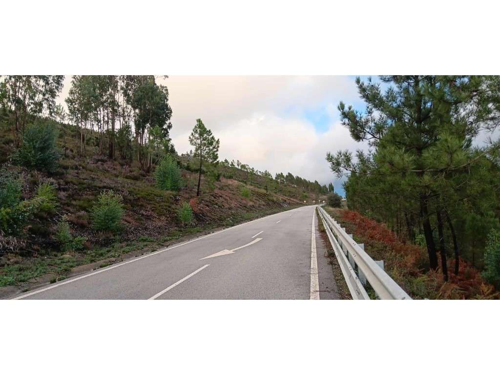 Terreno Rústico - 1.800 m² - Horta da Costa, Amêndoa, Mação - Grande imagem: 5/5