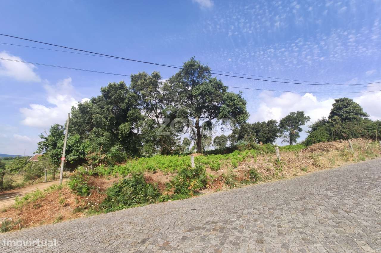 Terreno de 4721m2, em Palmeira a 4Km do centro de Santo Tirso - Grande imagem: 4/15