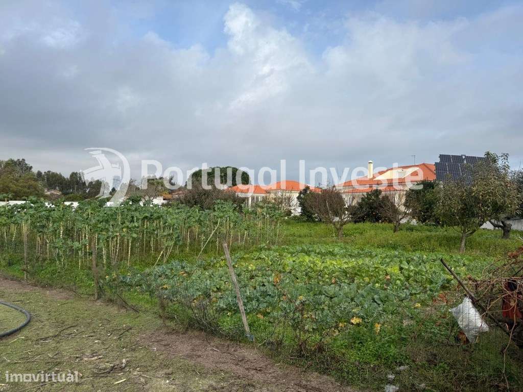 Magnífica moradia com 6 Assoalhadas e 5.500 m² de Terreno - Palmela...-17