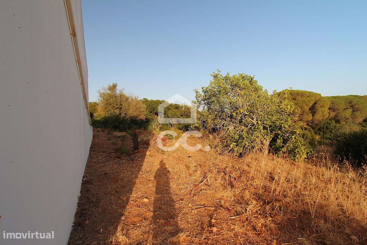 Viva o encanto do Algarve na sua própria quintinha a 8 min. das praias-34