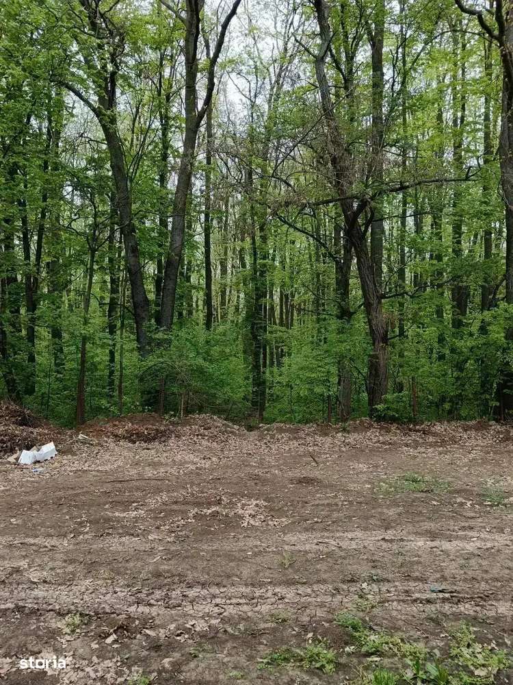 Erou Iancu Nicolae Apartament 4 Camere Curte 265 MP Vedere La Padure - Imagine principală: 2/9