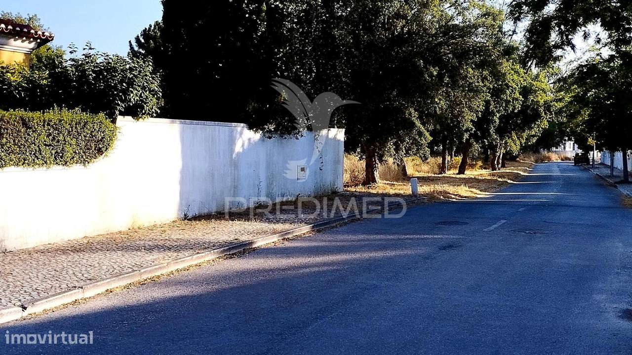 11 Lotes de Terrenos para futura Urbanização em Azeitão ou Quinta - Grande imagem: 5/7