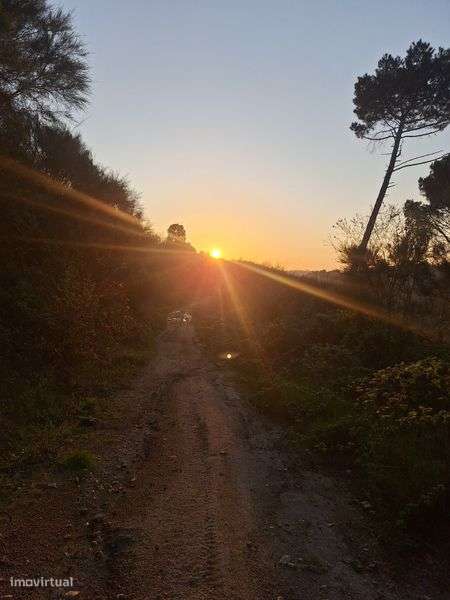 Terreno em Oliveira do Hospital 7800m²  beira rio. - Grande imagem: 5/5