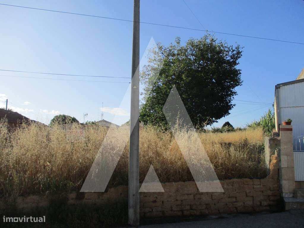 Terreno no Troviscal-2