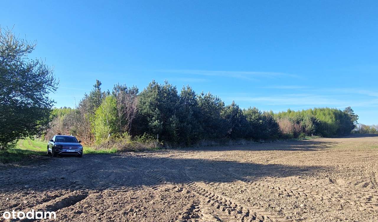Blisko jezioro, dojazd drogą gruntową, zadrzewiony. - Pełny obrazek: 4/7