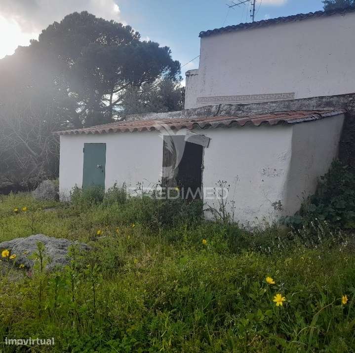 Quinta - Grande imagem: 4/16