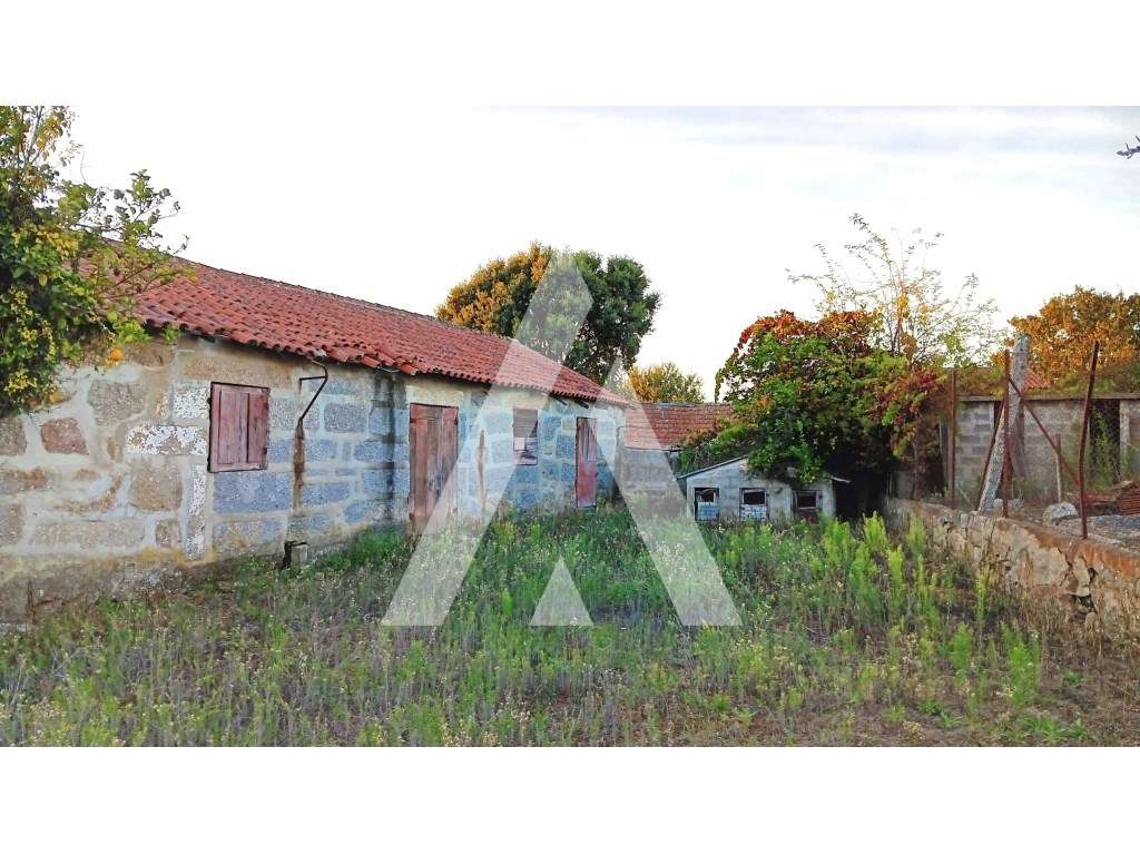 Quinta Nevogilde com Moradia T10, Capela, Celeiro e Acesso ao Rio S...-15