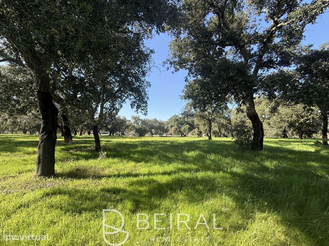 TERRENO DE PRESTÍGIO FRENTE AO LAGO NO GOLF DE SANTO ESTÊVÃO-13