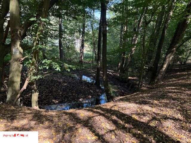 Siestrzeń, 10 000m,do podziału na 6 działek,z Mpzp-14