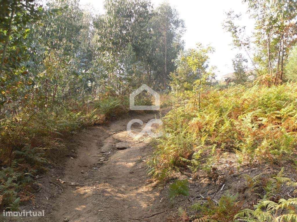 Terreno para moradia - Terreno - Grande imagem: 3/20