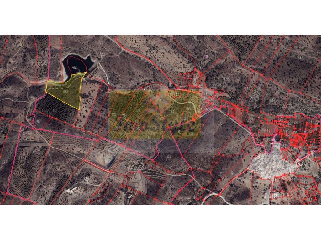 Terreno rústico em Azinhal - Grande imagem: 2/4