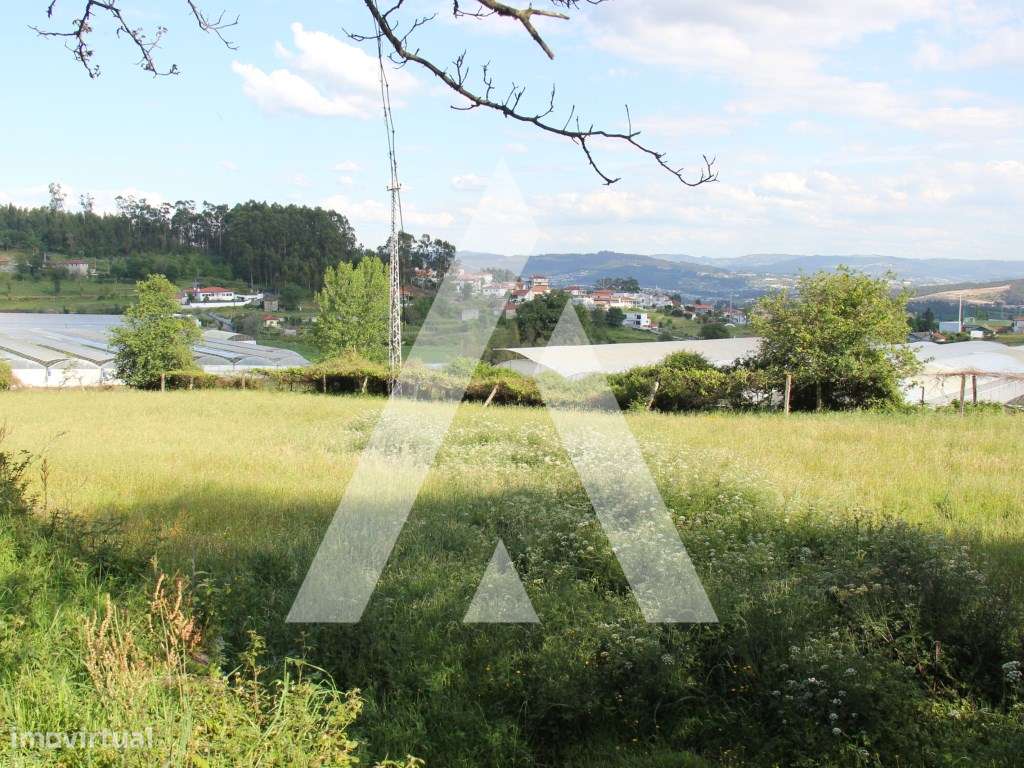 Quinta T6 histórica para recuperação, Guimarães.-26