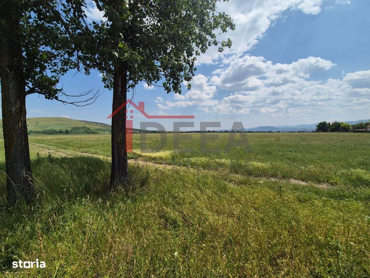 Teren intravilan 12.300 mp, Piatra-Neamt - Imagine principală: 1/3