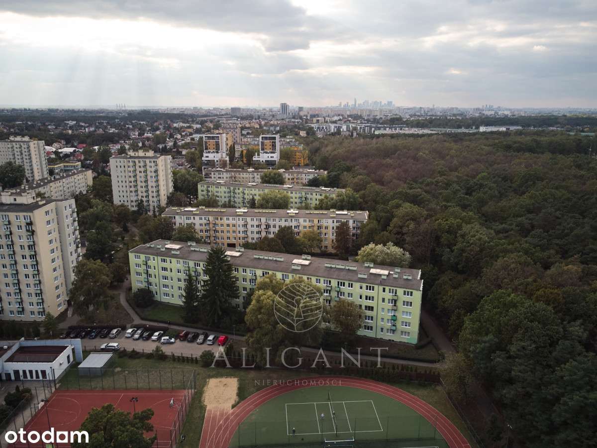 2 pokoje *Świetny układ *Blisko lasu *Do aranżacji-18