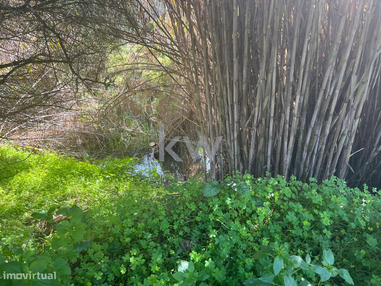 Terreno com excelente exposição solar, com água e eletricidade em Port - Grande imagem: 5/18