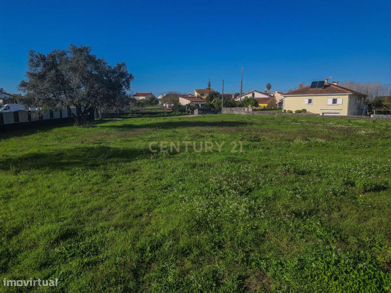Terreno Agrícola em Montemor o Velho - Oportunidade Única-17