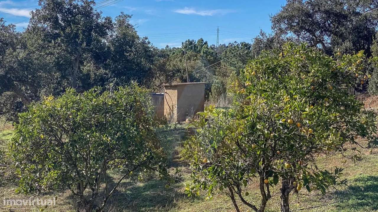 Quinta Vale Covas - Grande imagem: 5/6