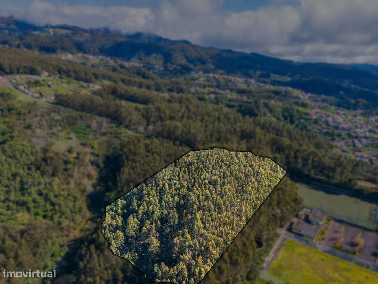 Terreno na Camacha de 24.430m2 - Grande imagem: 5/14
