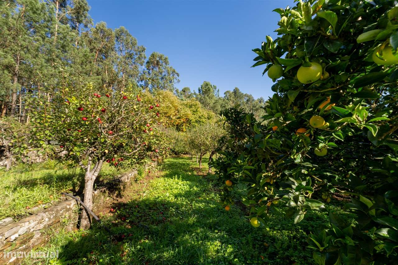 Moradia Isolada T2 Venda em Lobão, Gião, Louredo e Guisande,Santa Mari-34