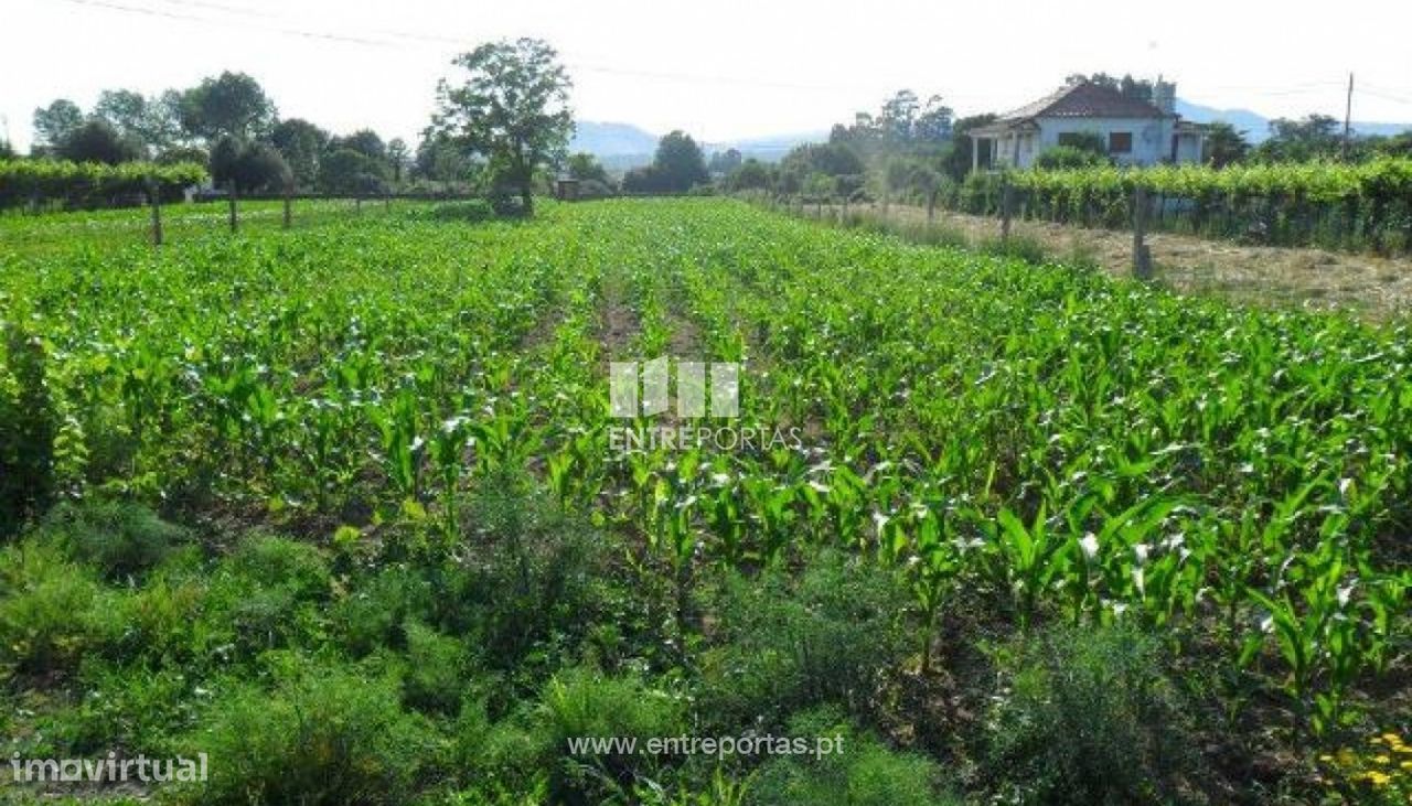 Terreno Moreira Geraz do Lima