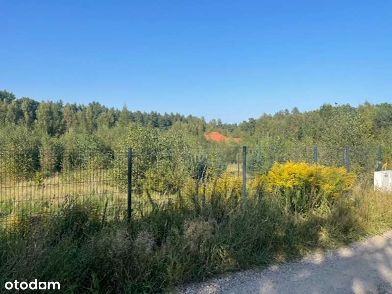 oferta bezpośrednio od właściciela - Pełny obrazek: 4/8