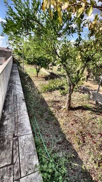 Moradia T2 com 2 WC e Quintal – Assumar (Monforte) - Grande imagem: 4/6