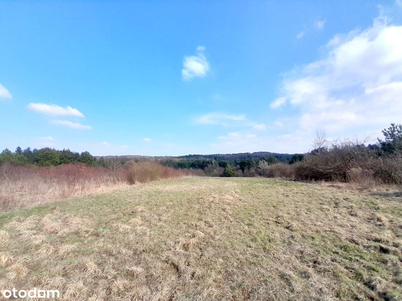 Sprzedam dużą działkę z warunkami zabudowy - Płaza ul. Kossaka-3