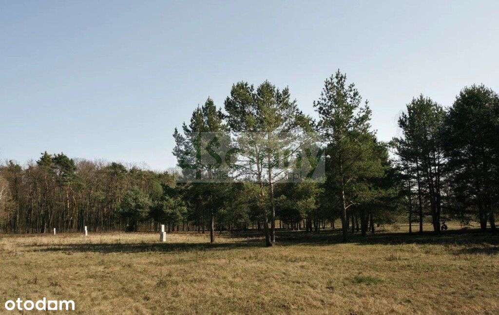 Działka, 2 121 m², Rajszew - Pełny obrazek: 4/5