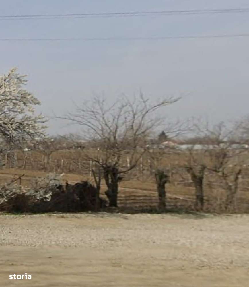 Teren centru Magurele - Imagine principală: 4/4