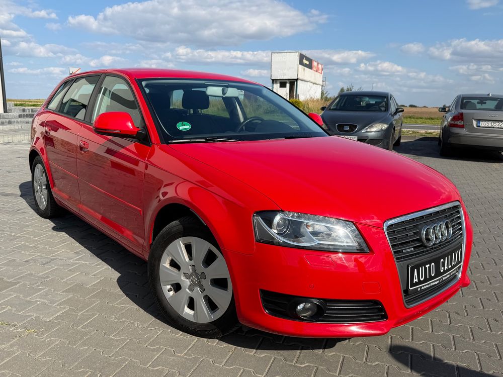 Audi A3 8P (2003-2012) 2010