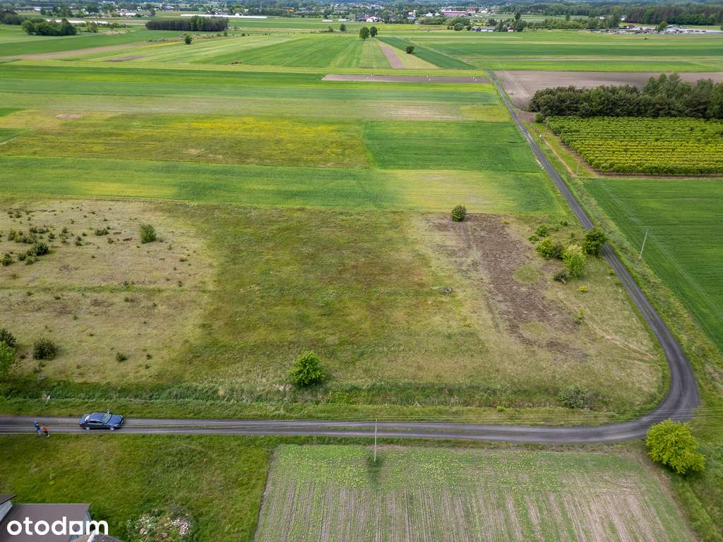 Działki na sprzedaż – Stare żdżary - Pełny obrazek: 4/11