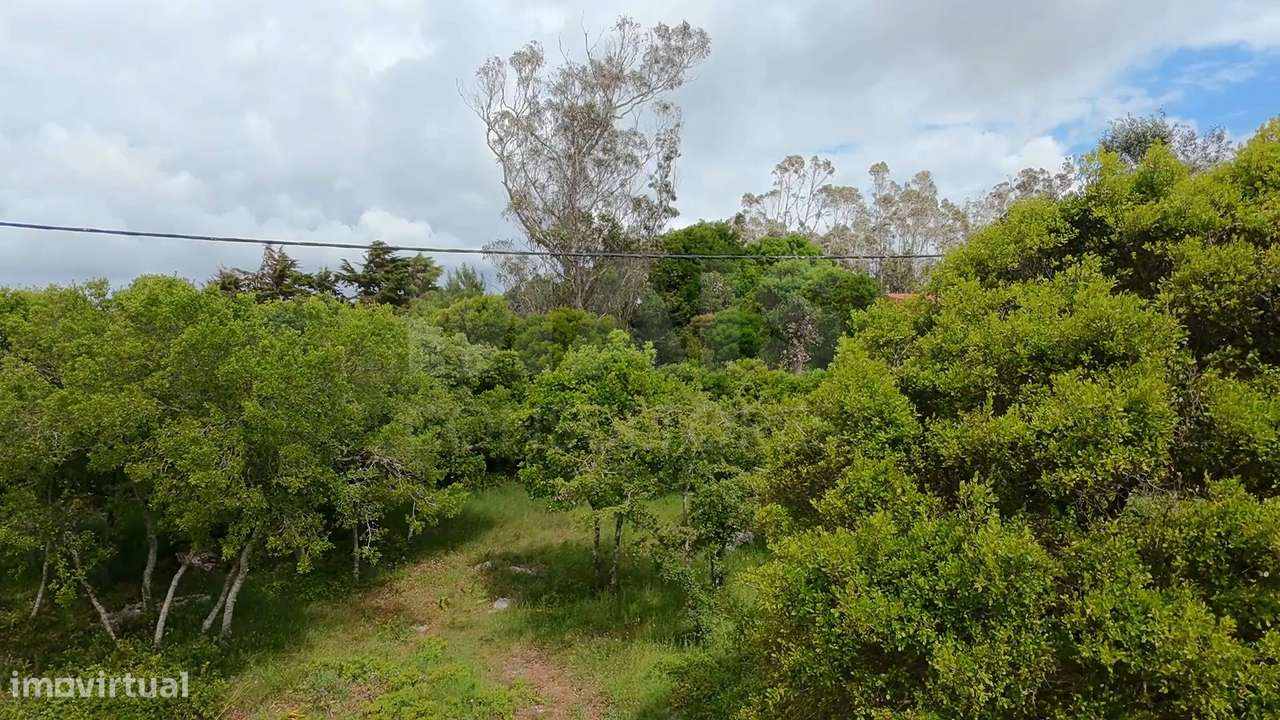 2 Terrenos Confinantes  "Construção de Moradias Isoladas ou Ge...-23