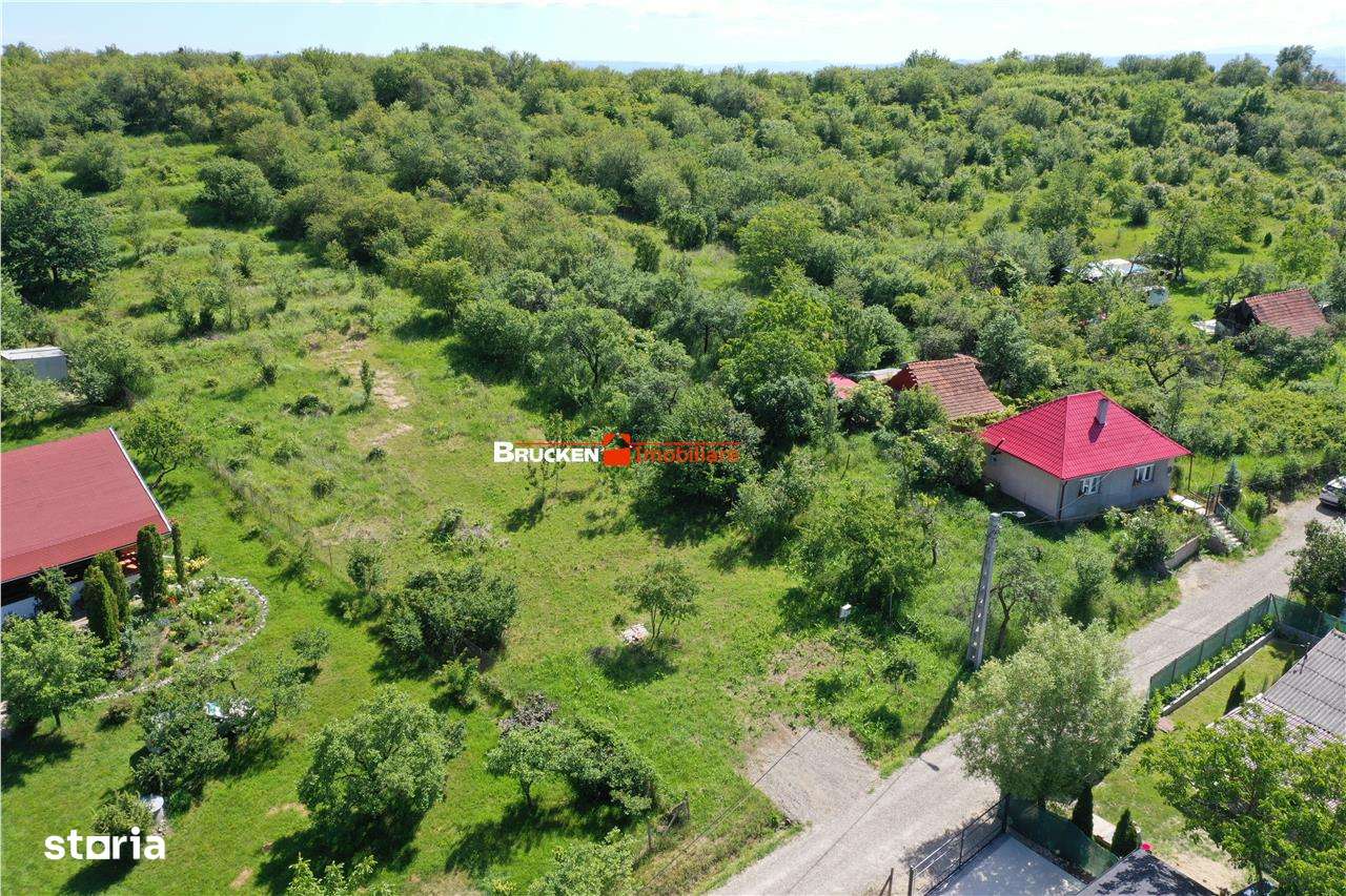 TEREN PENTRU CONSTRUCTIE REZIDENTIALA | 2878 MP | PODGORIA - Imagine principală: 5/5