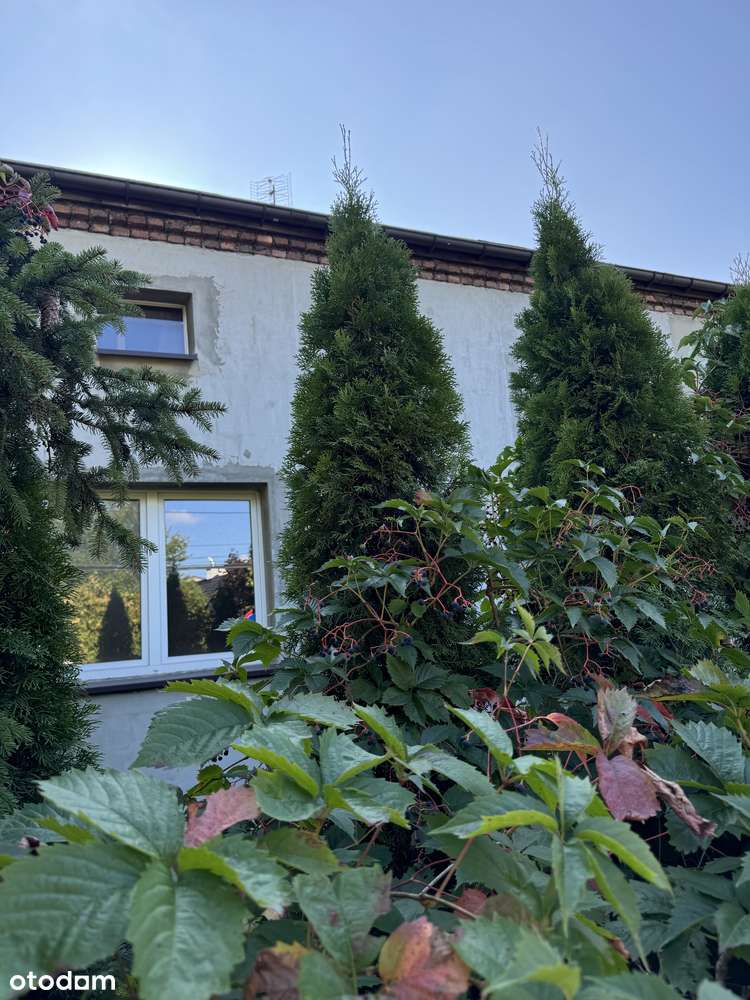 Malownicza działka budowlana Katowice Zarzecze, świetnie skomunikowana-6