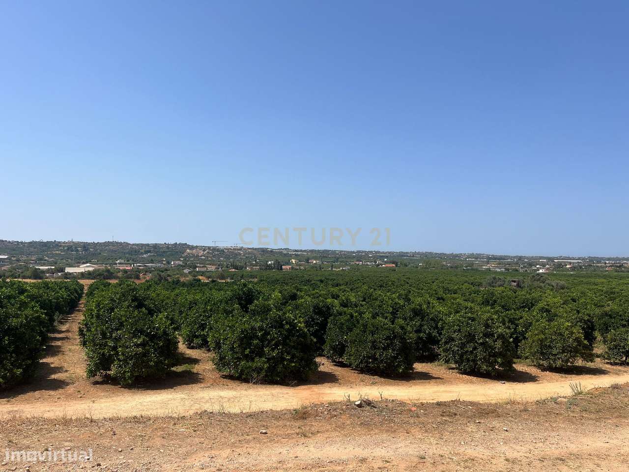 Quinta com 208.790m2, em  Plena produção de Citrinos, e estufas, com e - Grande imagem: 5/22