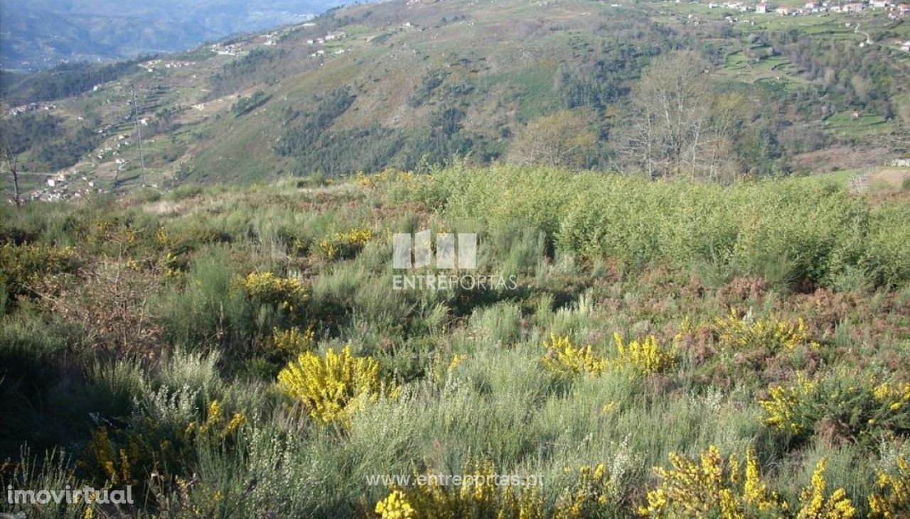 Venda Terreno, Gestaçô, Baião