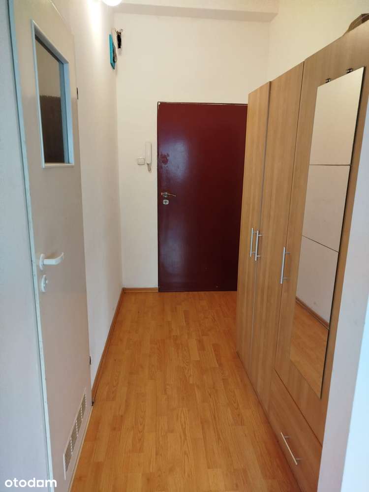 Wynajem długoterminowy - Pełny obrazek: 4/9