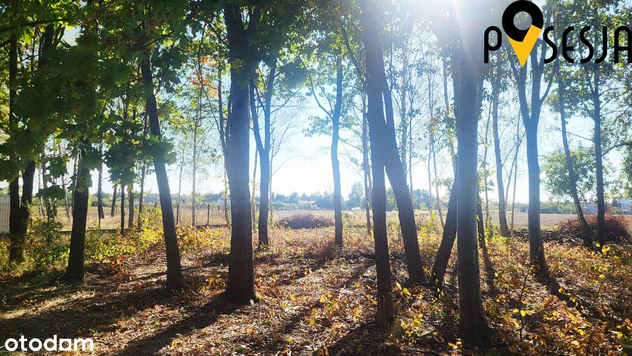 Działka budowlana 1000m2 Gołków wieś-Piaseczno-5