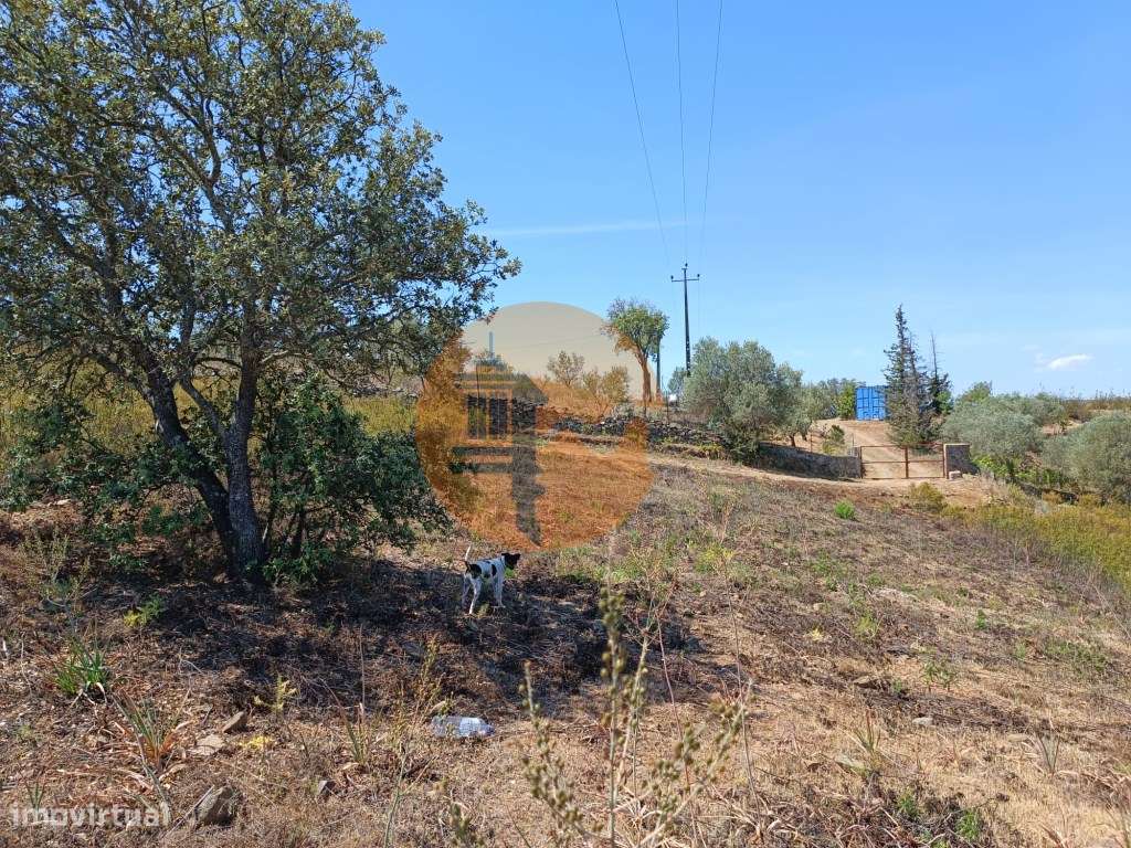 TERRENO COM 19.280 M2 - ALCARIA - ODELEITE - CASTRO MARIM - ALGARVE - Grande imagem: 4/27