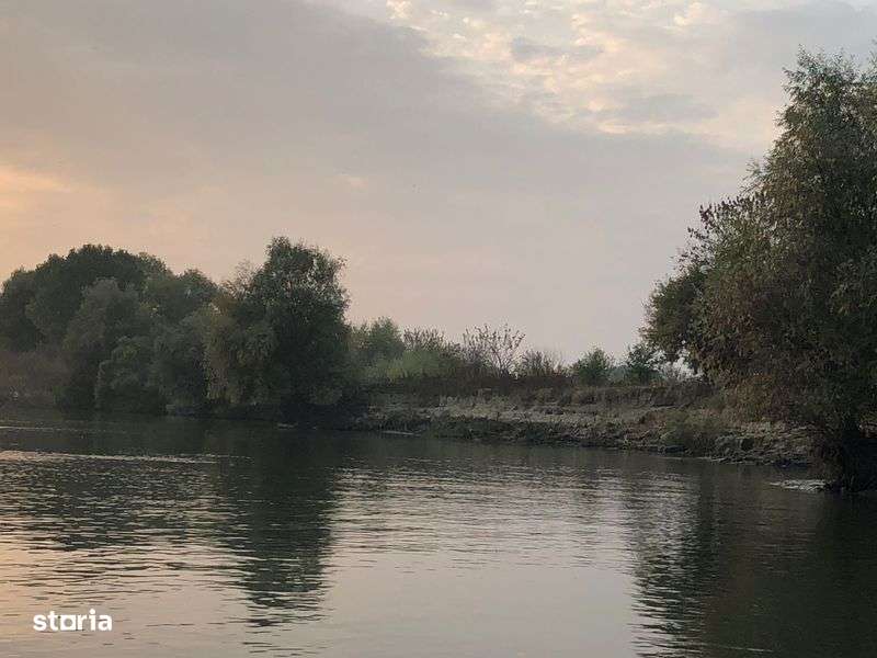 8000 mp intravilan, Delta Dunarii, brat Sf Gheorghe, Baltenii de Sus - Imagine principală: 5/8