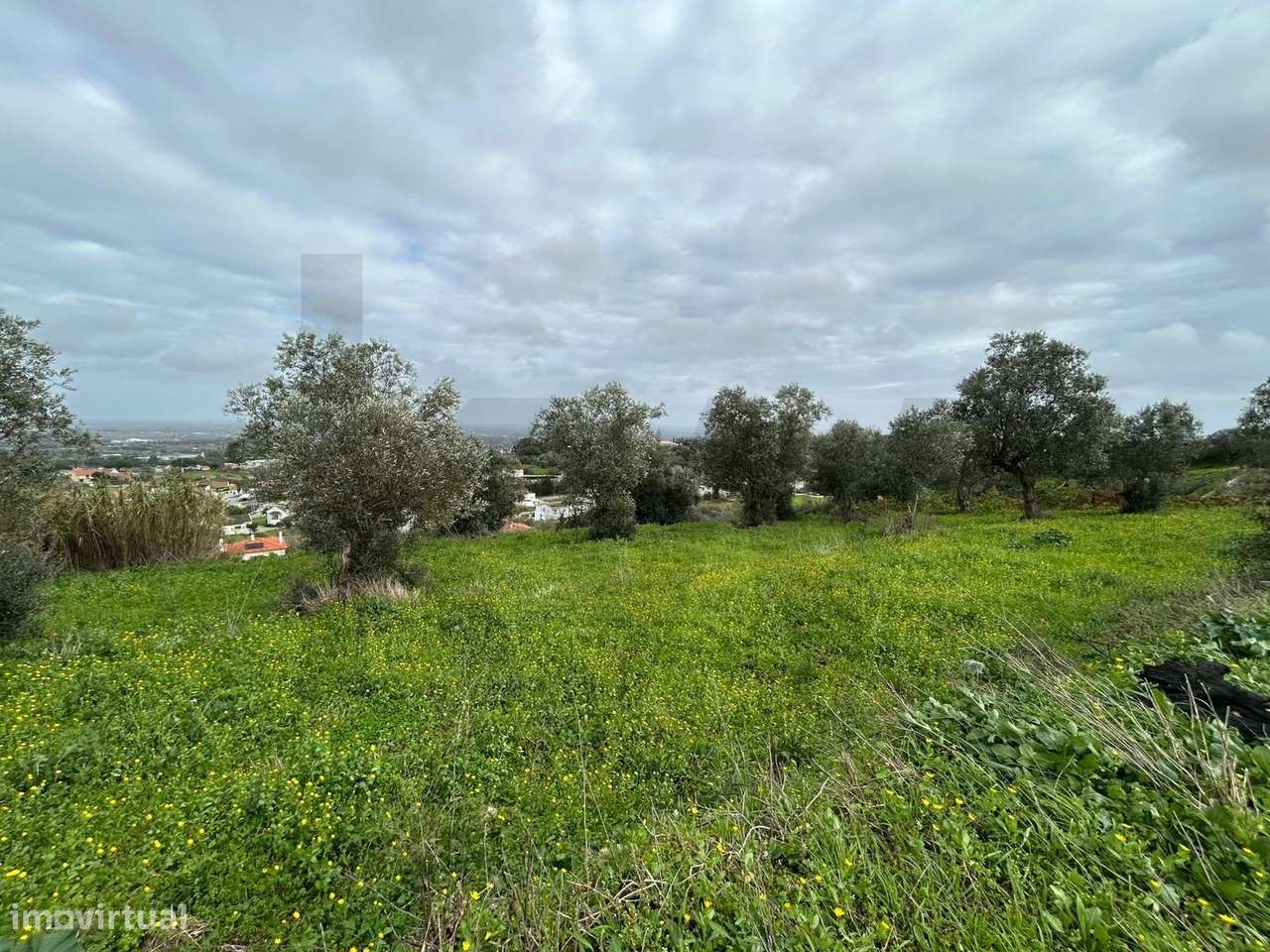 Terreno Exclusivo em Palmela: Onde a Natureza encontra a Sofisticação - Grande imagem: 2/3
