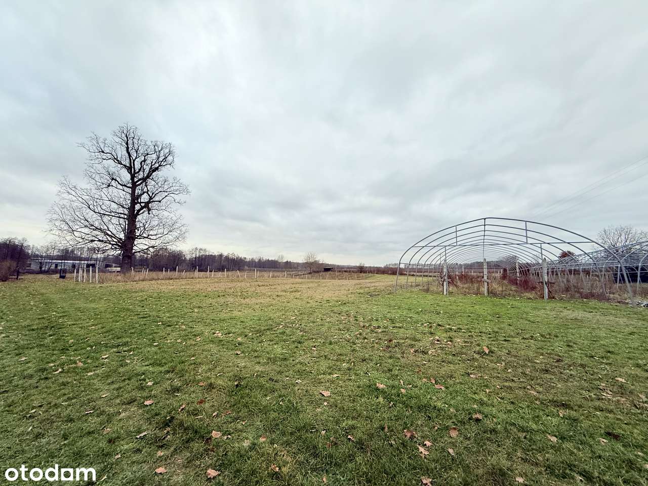 Dom 70 m² na dużej działce 1,04 ha – Godów, gmina Chodel-6