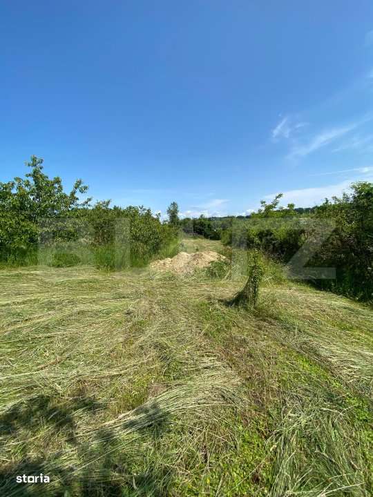 Teren intravilan de vanzare – 30 ari – Zona Podul Jelnei – prive - Imagine principală: 2/4